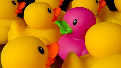 A group of yellow rubber ducks surrounds a single pink rubber duck with a green beak, making the pink duck stand out in the crowd. The image is bright and colorful, emphasizing the uniqueness of the pink duck among the yellow ones.